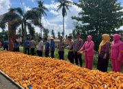 Polres Soppeng Panen Jagung Program ASTACITA di Polsek Lilirilau