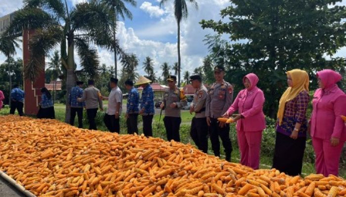 Polres Soppeng Panen Jagung Program ASTACITA di Polsek Lilirilau