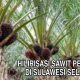 Langkah Awal Hilirisasi Sawit dari Angkona, Menandai Babak Baru Industri Minyak Goreng Sulawesi Selatan